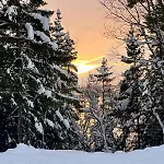 Сasa de vacaciones Nordlys Hamnvik